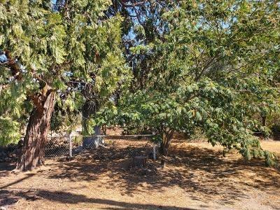 15472 Hilde Ln, Lodi, CA 95242 photo 4