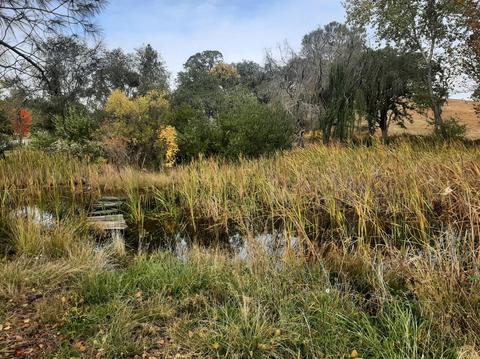 1941 Tegra Rd, Cool, CA 95614 photo 11