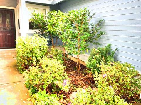 655 James Dr, Placerville, CA 95667 photo 25