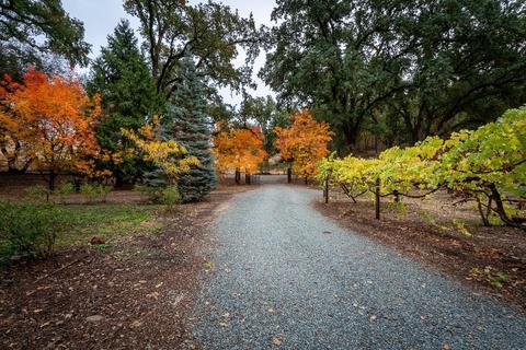 13001 E Quartz Mountain Rd, Sutter Creek, CA 95685 photo 83