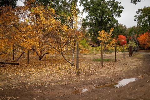 13001 E Quartz Mountain Rd, Sutter Creek, CA 95685 photo 62