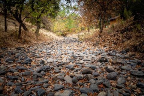 13001 E Quartz Mountain Rd, Sutter Creek, CA 95685 photo 19
