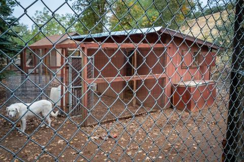 13001 E Quartz Mountain Rd, Sutter Creek, CA 95685 photo 80