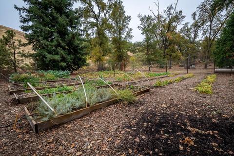 13001 E Quartz Mountain Rd, Sutter Creek, CA 95685 photo 82