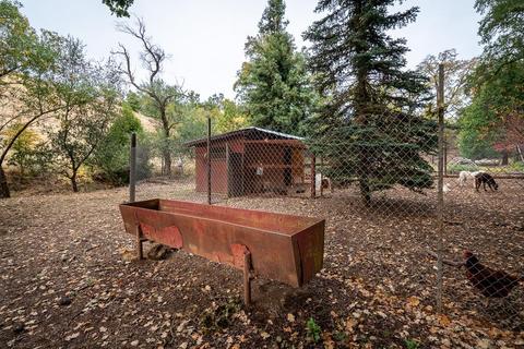 13001 E Quartz Mountain Rd, Sutter Creek, CA 95685 photo 57