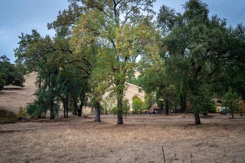 13001 E Quartz Mountain Rd, Sutter Creek, CA 95685 photo 86