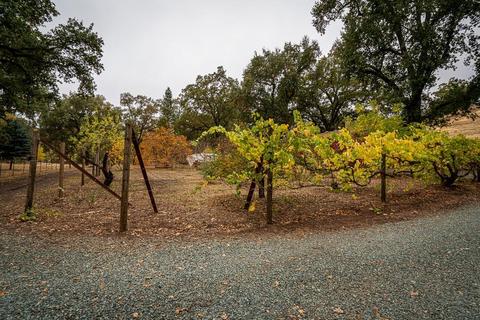 13001 E Quartz Mountain Rd, Sutter Creek, CA 95685 photo 65