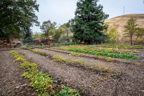 13001 E Quartz Mountain Rd, Sutter Creek, CA 95685 photo 79
