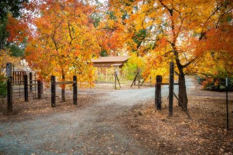 13001 E Quartz Mountain Rd, Sutter Creek, CA 95685 photo 3