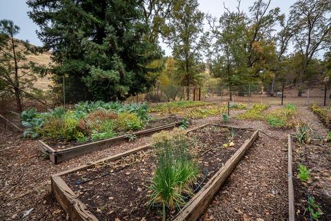 13001 E Quartz Mountain Rd, Sutter Creek, CA 95685 photo 81