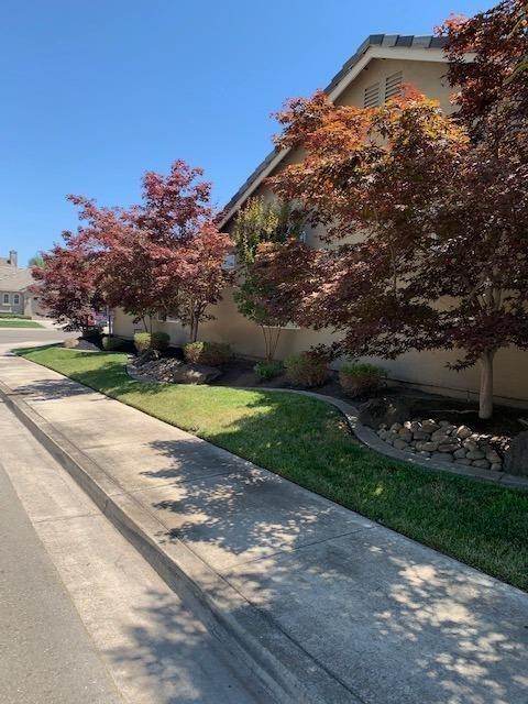 2574 Paradise Dr, Lodi, CA 95242 photo 4