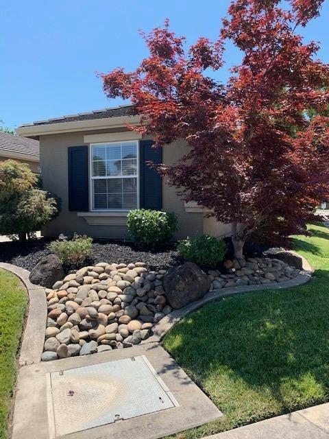 2574 Paradise Dr, Lodi, CA 95242 photo 3