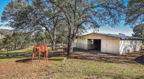 4156 Stagecoach Rd, Copperopolis, CA 95228 photo 44