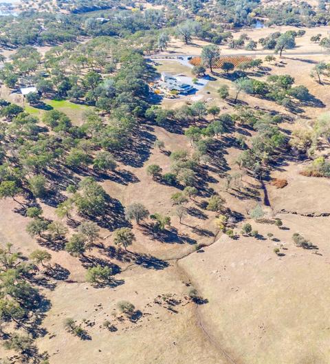 4156 Stagecoach Rd, Copperopolis, CA 95228 photo 53