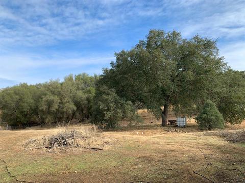 2465 Brave, Copperopolis, CA 95228 photo 37