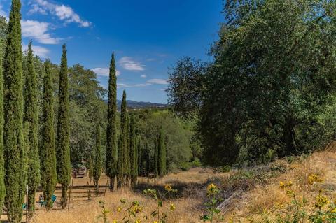 157 Detert Ln, Jackson, CA 95642 photo 40