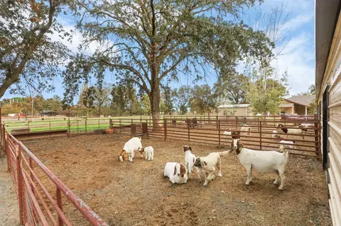9691 Orr Rd, Galt, CA 95632 photo 62