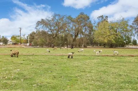 9691 Orr Rd, Galt, CA 95632 photo 70