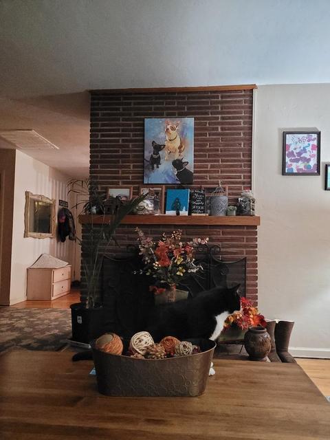2658 Nevada St, Live Oak, CA 95953 photo 22