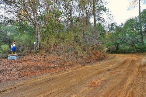 18395 Sugar Loaf Rd, Jackson, CA 95642 photo 35