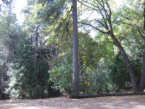 5101 Cedar Dr, Georgetown, CA 95634 photo 26
