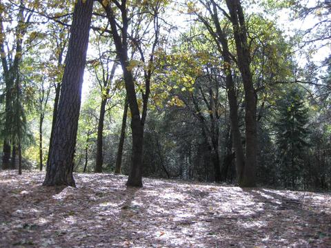 5101 Cedar Dr, Georgetown, CA 95634 photo 25