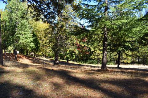 5641 State Highway 193, Georgetown, CA 95634 photo 72