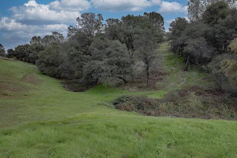 9035 Wise Rd, Auburn, CA 95603 photo 44