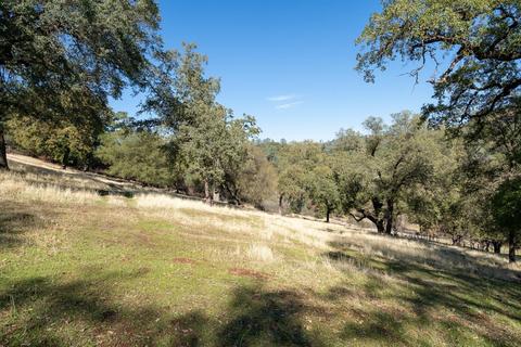 1650 Springvale Rd, Placerville, CA 95667 photo 63