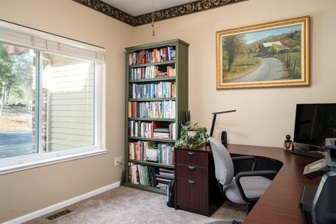 1650 Springvale Rd, Placerville, CA 95667 photo 17