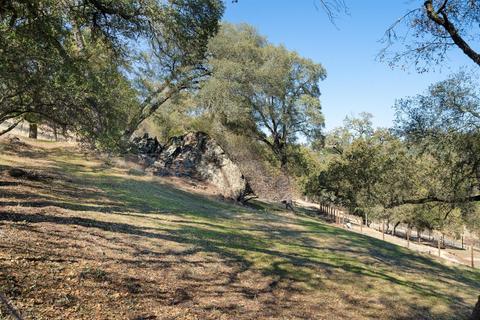 1650 Springvale Rd, Placerville, CA 95667 photo 62