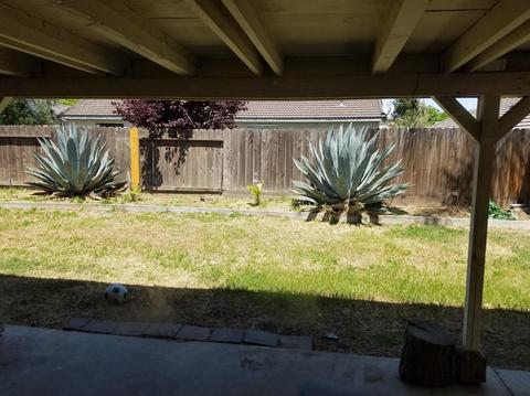 1333 Hackett Rd, Ceres, CA 95307 photo 30