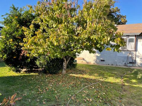5532 Whitney Ave, Carmichael, CA 95608 photo 22