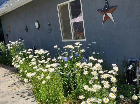4440 Savage Rd, Placerville, CA 95667 photo 35