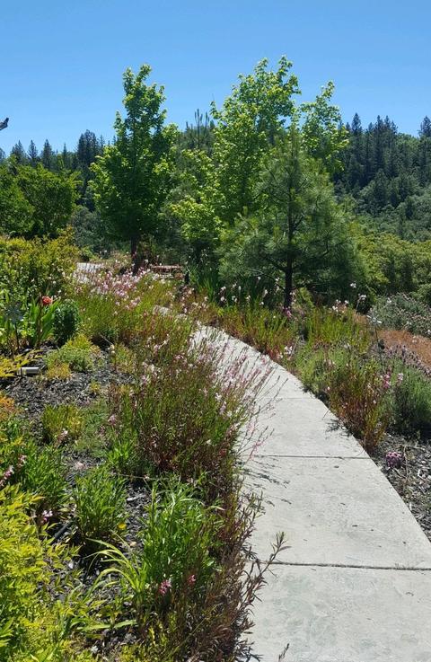 4440 Savage Rd, Placerville, CA 95667 photo 36