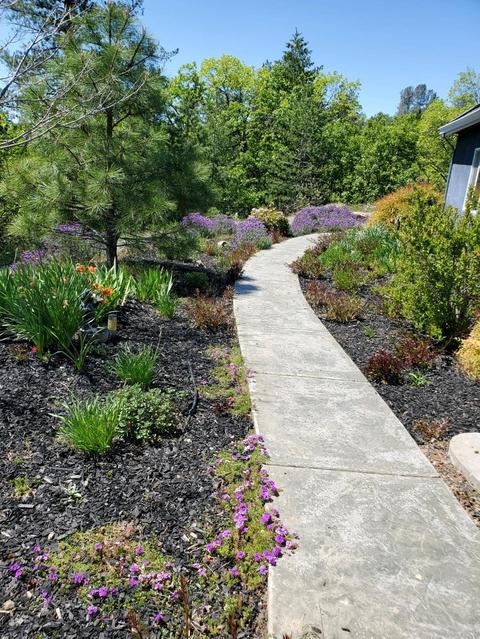 4440 Savage Rd, Placerville, CA 95667 photo 37