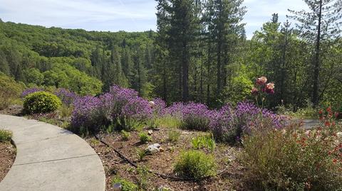 4440 Savage Rd, Placerville, CA 95667 photo 34