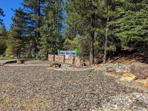 573 Heather Glen Dr, Applegate, CA 95703 photo 57