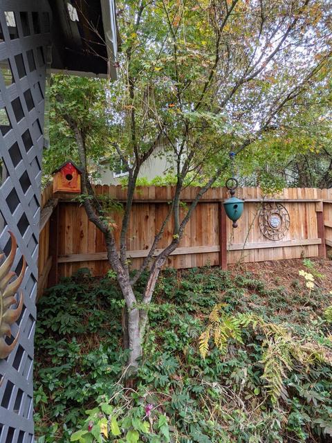 573 Heather Glen Dr, Applegate, CA 95703 photo 40