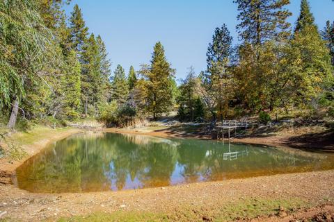 3130 Nugget Ct, Georgetown, CA 95634 photo 34