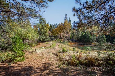 3130 Nugget Ct, Georgetown, CA 95634 photo 37
