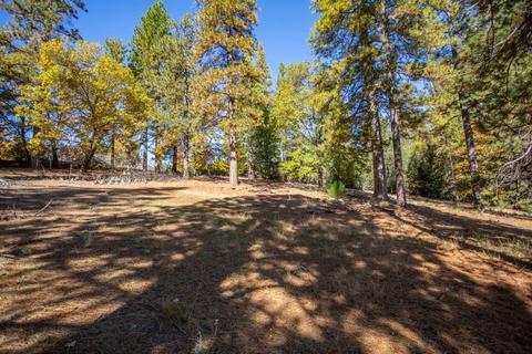 3130 Nugget Ct, Georgetown, CA 95634 photo 35