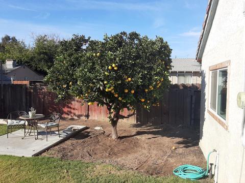 20109 American Ave, Hilmar, CA 95324 photo 18