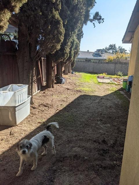 1324 Lindstrom Ave, Modesto, CA 95351 photo 3