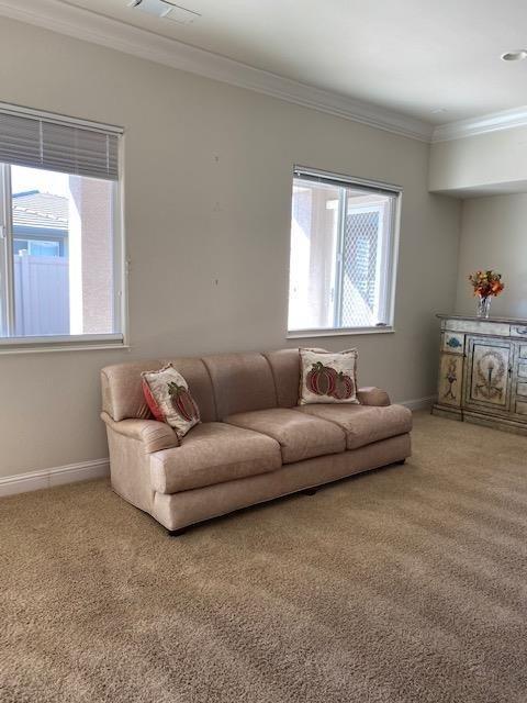 2453 Pepper Tree Ln, Manteca, CA 95336 photo 7