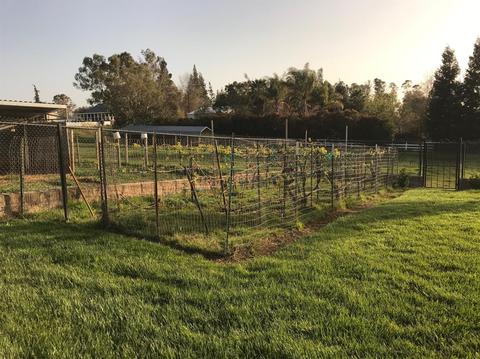 9637 Dillard Rd, Wilton, CA 95693 photo 52