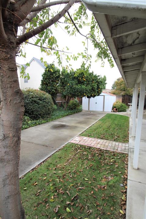 1141 Citrus Ct, Modesto, CA 95350 photo 16