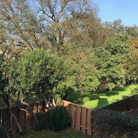1813 Edgebrook Dr #C, Modesto, CA 95354 photo 42