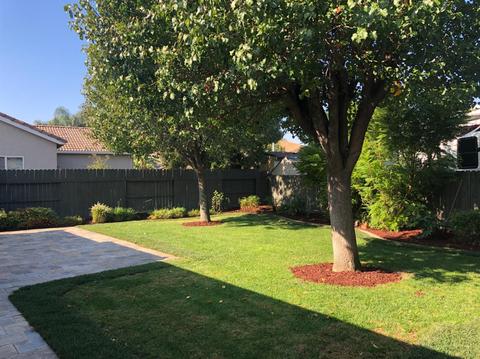 927 Forecast Ln, Tracy, CA 95377 photo 37