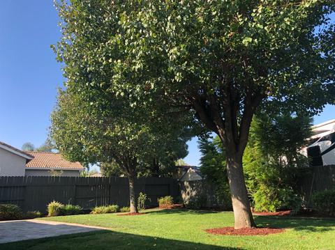 927 Forecast Ln, Tracy, CA 95377 photo 38